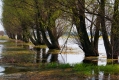 100_Biebrza - kwiecien 2011